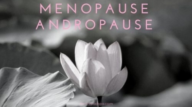 MENOPAUSE-500x300